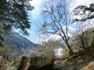 成都雙汽跑馬山、海螺溝、瀘定四日游（定制團）