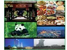成都三星堆、熊貓基地一日游（探秘三星堆 夢回古蜀國 ）